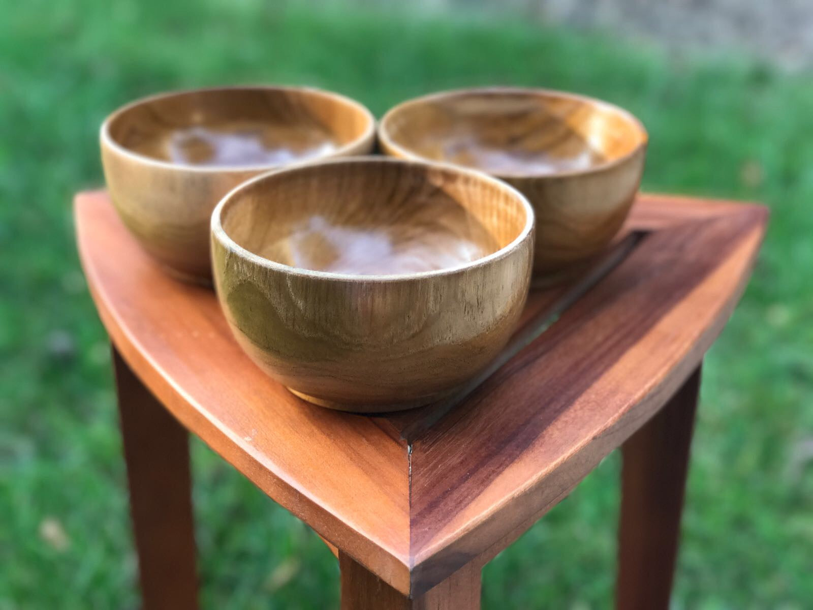Ala Teak Wood Unbreakable Kitchen Soup Salad Cup Bowl Plate Set of 2