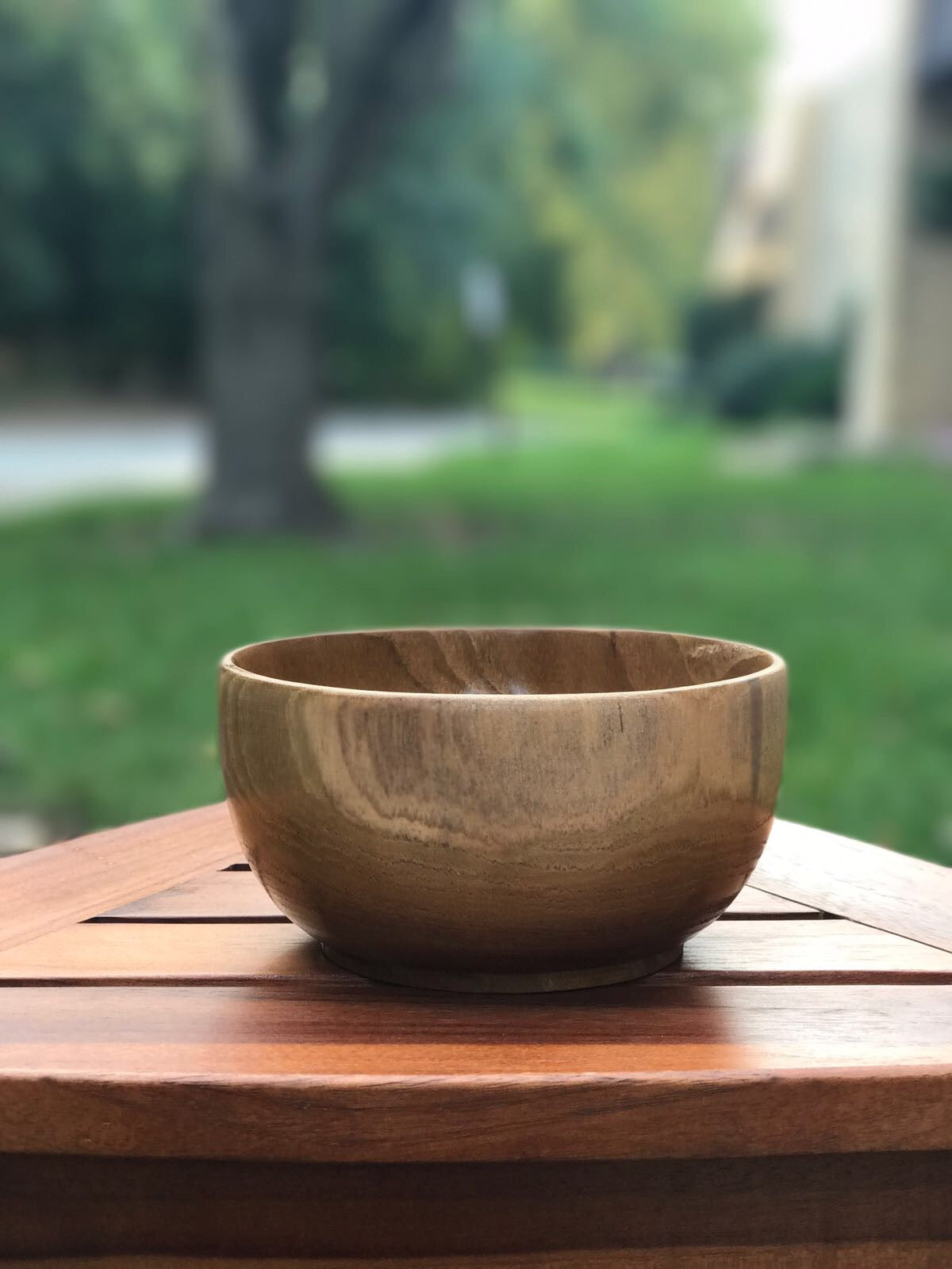 Ala Teak Wood Unbreakable Kitchen Soup Salad Cup Bowl Plate Set of 2